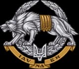 Сили спеціальних операцій